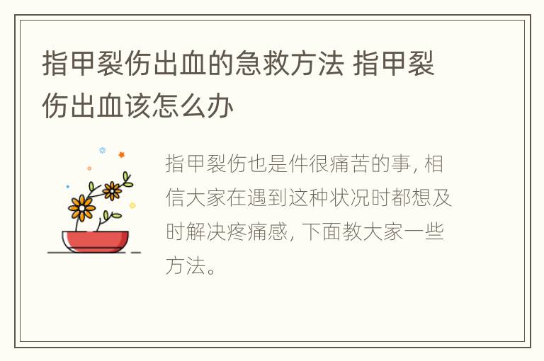 指甲裂伤出血的急救方法 指甲裂伤出血该怎么办