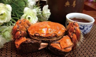 哺乳期不能吃的食物 哺乳期不能吃什么食物