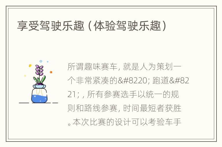 享受驾驶乐趣（体验驾驶乐趣）