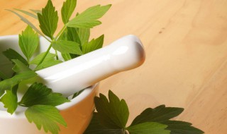 吃鲜当归叶时有什么需要注意的 吃鲜当归叶的禁忌