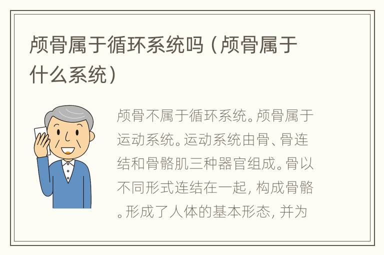 颅骨属于循环系统吗（颅骨属于什么系统）