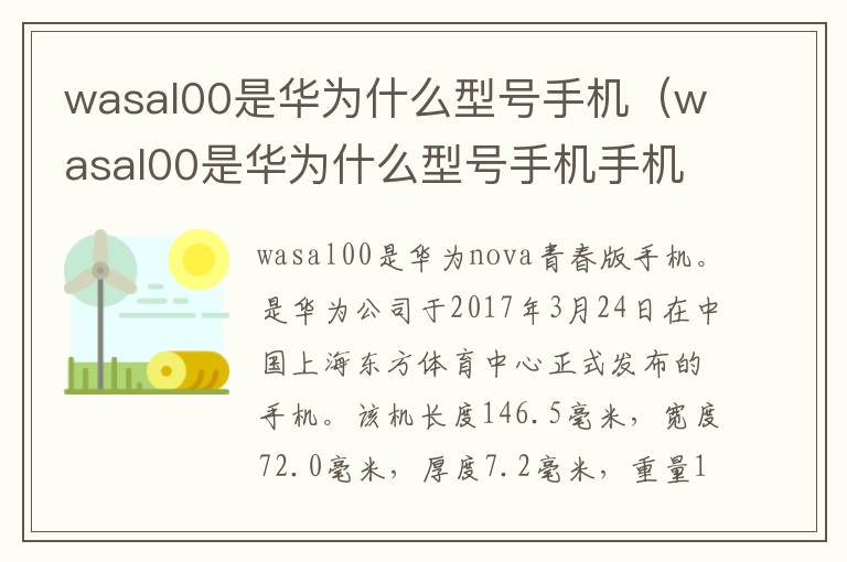 wasal00是华为什么型号手机（wasal00是华为什么型号手机手机壳有卖的吗）