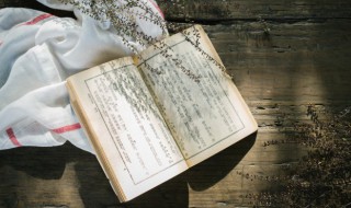 紊怎么读 紊如何读