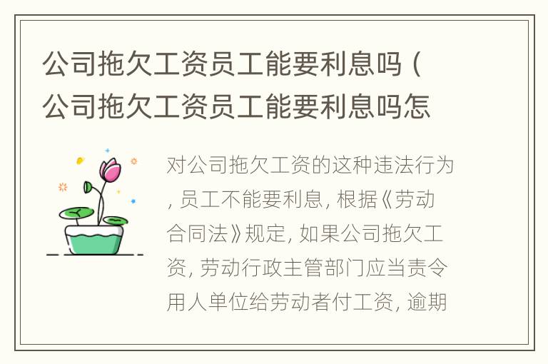 公司拖欠工资员工能要利息吗（公司拖欠工资员工能要利息吗怎么办）