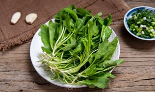荠菜能生吃吗 荠菜能生吃吗?