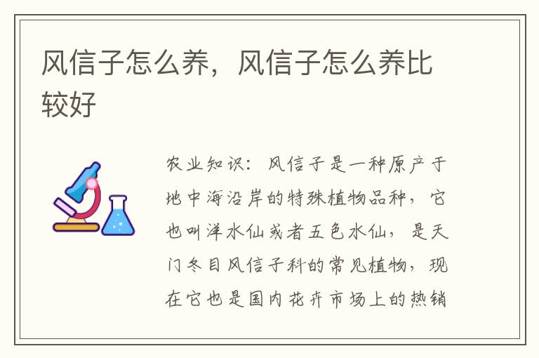 风信子怎么养，风信子怎么养比较好