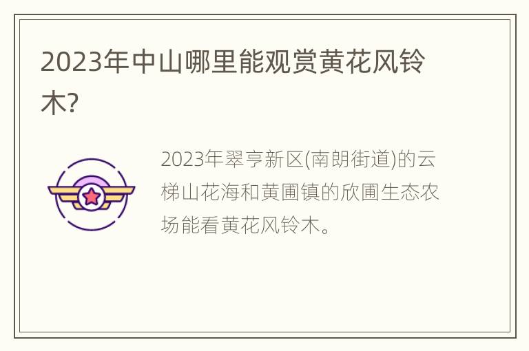 2023年中山哪里能观赏黄花风铃木？