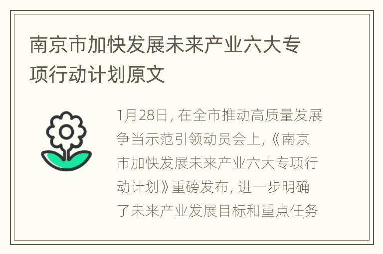 南京市加快发展未来产业六大专项行动计划原文
