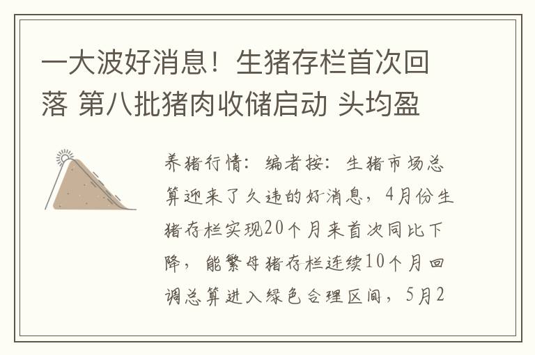 一大波好消息！生猪存栏首次回落 第八批猪肉收储启动 头均盈利近百