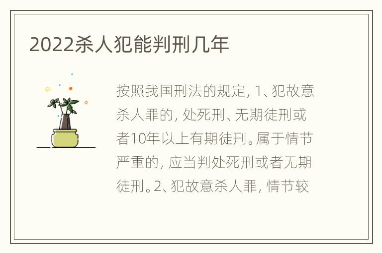 2022杀人犯能判刑几年