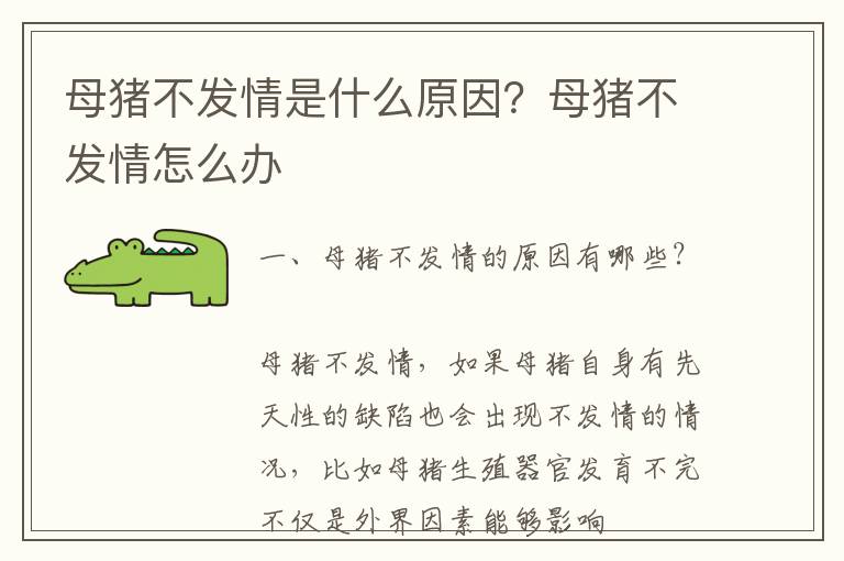 母猪不发情是什么原因？母猪不发情怎么办