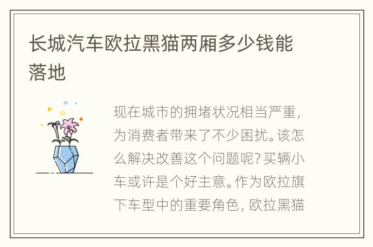 长城汽车欧拉黑猫两厢多少钱能落地
