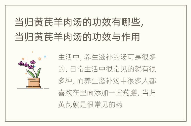 当归黄芪羊肉汤的功效有哪些，当归黄芪羊肉汤的功效与作用