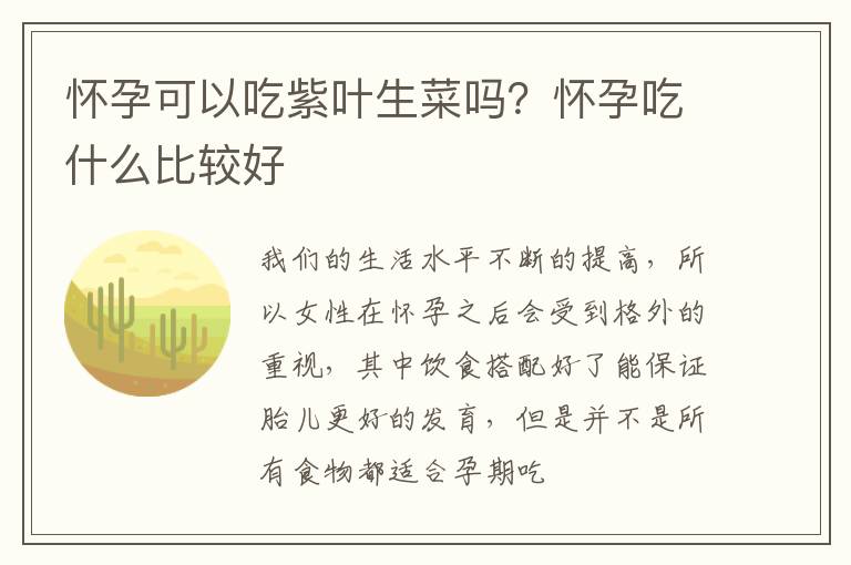 怀孕可以吃紫叶生菜吗？怀孕吃什么比较好
