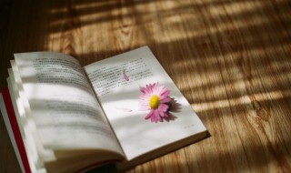 瑶的意思在名字及含义 瑶在名字中的含义是什么？