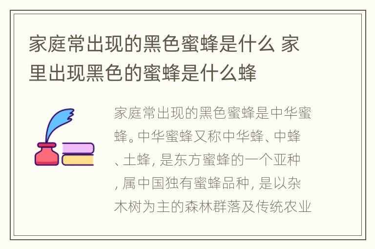 家庭常出现的黑色蜜蜂是什么 家里出现黑色的蜜蜂是什么蜂