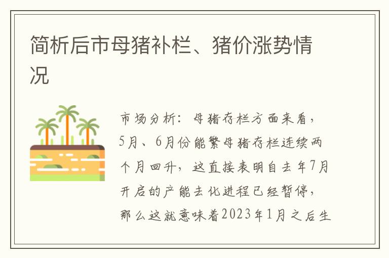 简析后市母猪补栏、猪价涨势情况