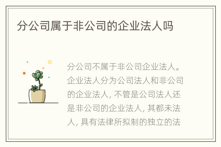 分公司属于非公司的企业法人吗