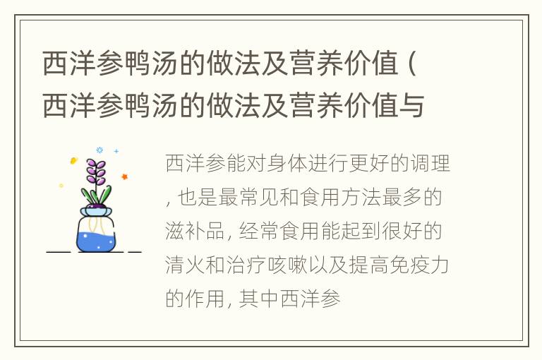 西洋参鸭汤的做法及营养价值（西洋参鸭汤的做法及营养价值与功效）
