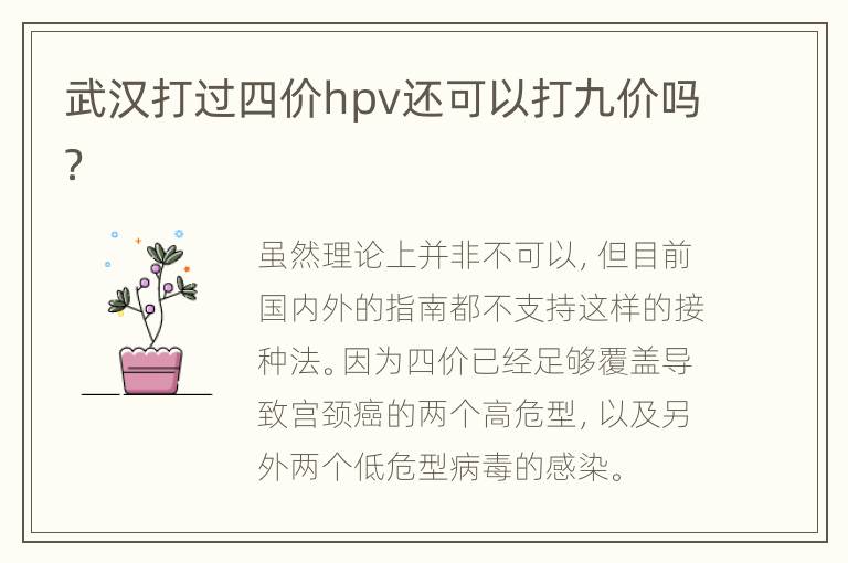 武汉打过四价hpv还可以打九价吗？