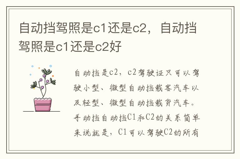 自动挡驾照是c1还是c2，自动挡驾照是c1还是c2好