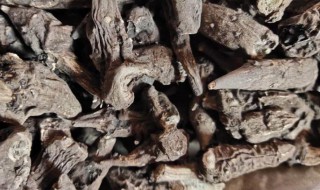 草乌的功效与食用方法 草乌有何功效与食用方法
