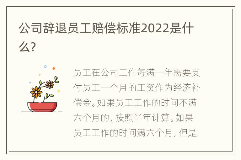 公司辞退员工赔偿标准2022是什么？