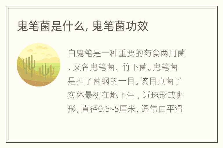 鬼笔菌是什么，鬼笔菌功效