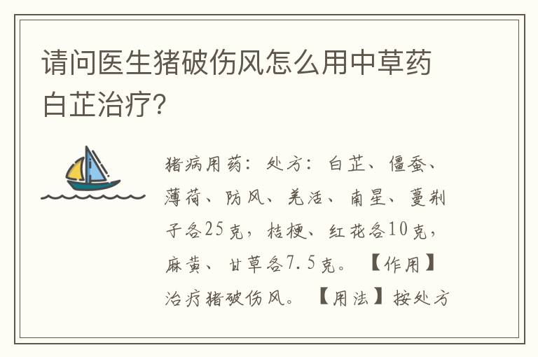 请问医生猪破伤风怎么用中草药白芷治疗？