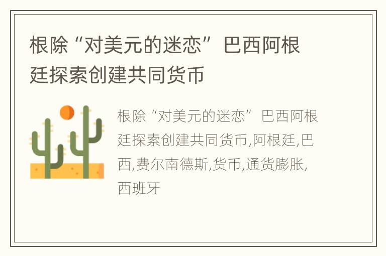 根除“对美元的迷恋” 巴西阿根廷探索创建共同货币