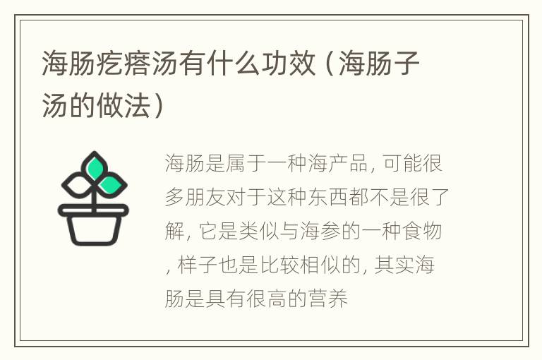 海肠疙瘩汤有什么功效（海肠子汤的做法）