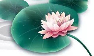 清新隽永什么意思 什么是清新隽永