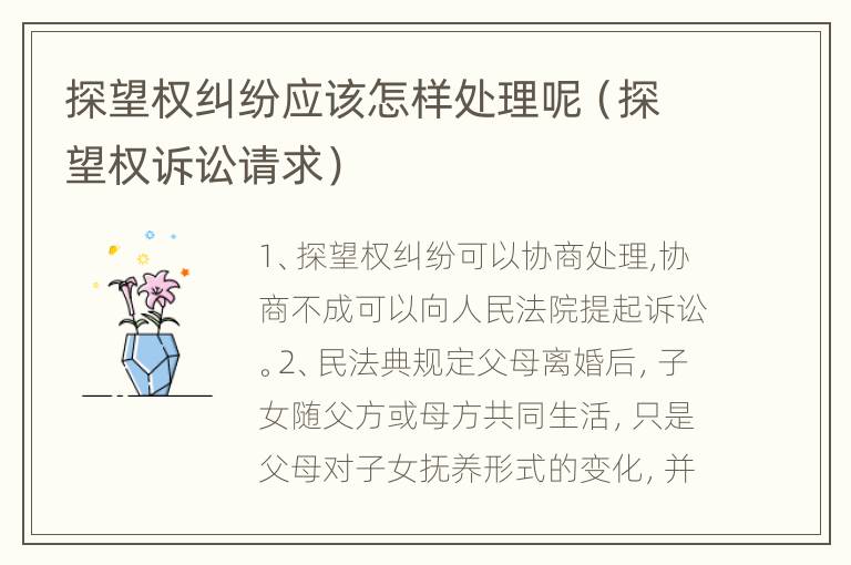 探望权纠纷应该怎样处理呢（探望权诉讼请求）