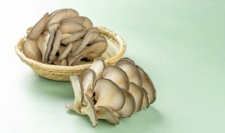 家庭蘑菇种植方法（蘑菇怎么种植方法蘑菇菌）