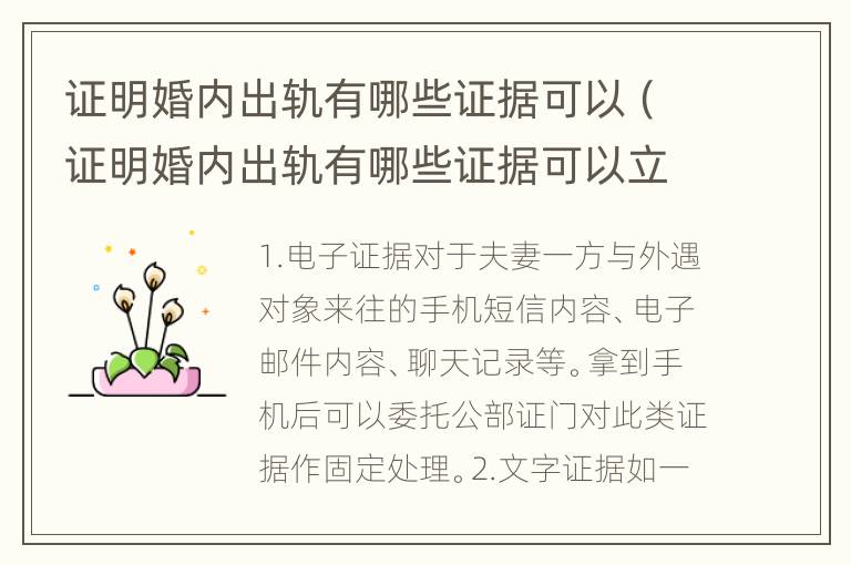 证明婚内出轨有哪些证据可以（证明婚内出轨有哪些证据可以立案）