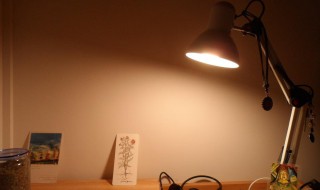 写作业用白光还是暖光 黄光和白光有何区别