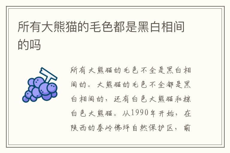 所有大熊猫的毛色都是黑白相间的吗