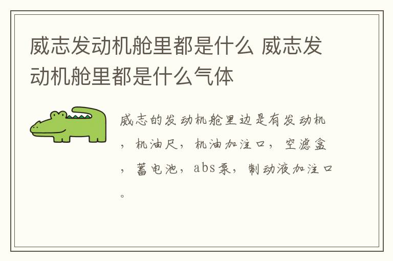 威志发动机舱里都是什么 威志发动机舱里都是什么气体