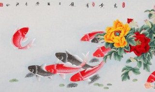 九鱼图的风水禁忌 九鱼图风水禁忌有哪些