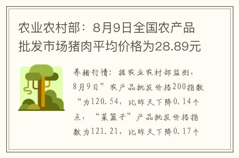 农业农村部：8月9日全国农产品批发市场猪肉平均价格为28.89元/公斤