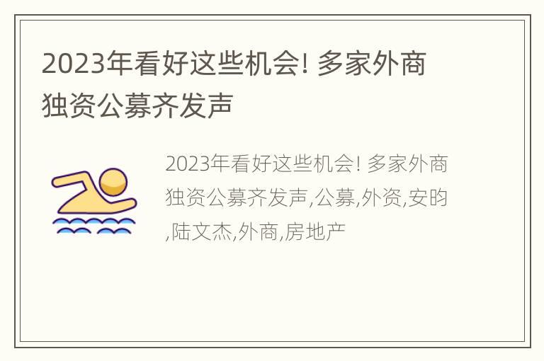 2023年看好这些机会！多家外商独资公募齐发声