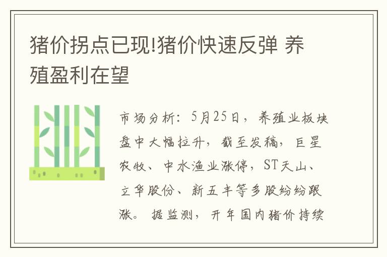 猪价拐点已现!猪价快速反弹 养殖盈利在望