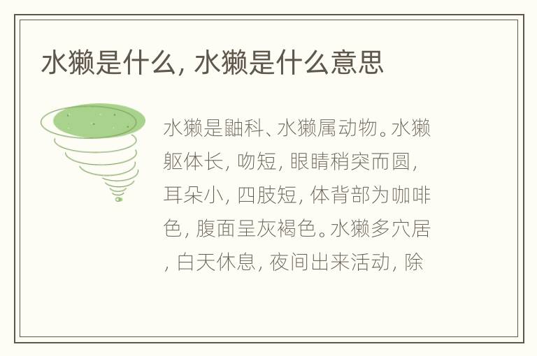 水獭是什么，水獭是什么意思
