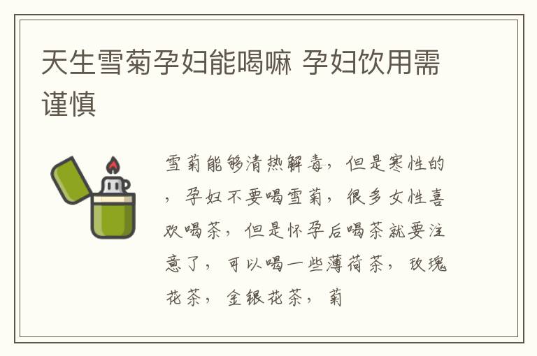天生雪菊孕妇能喝嘛 孕妇饮用需谨慎