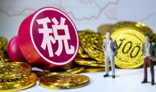 一般纳税人与小规模纳税人的区别