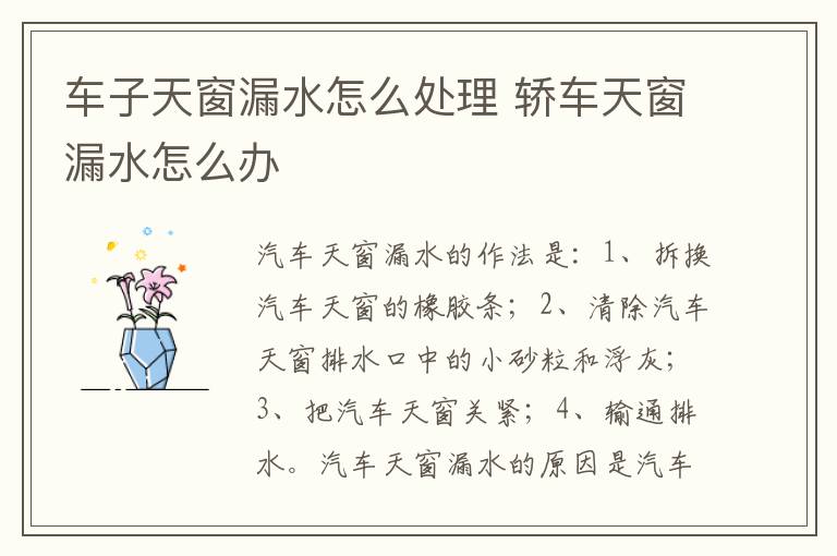 车子天窗漏水怎么处理 轿车天窗漏水怎么办