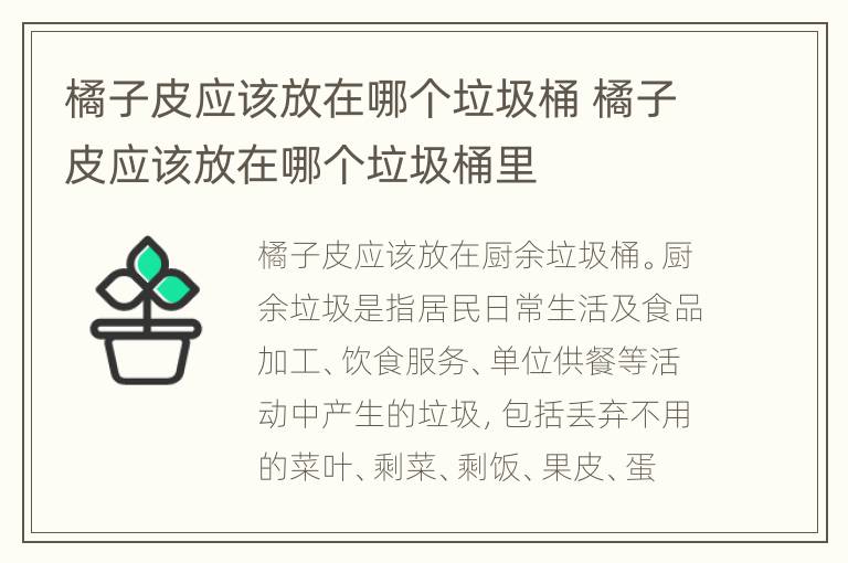 橘子皮应该放在哪个垃圾桶 橘子皮应该放在哪个垃圾桶里