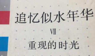 追忆似水年华多少字 追忆似水年华简单介绍