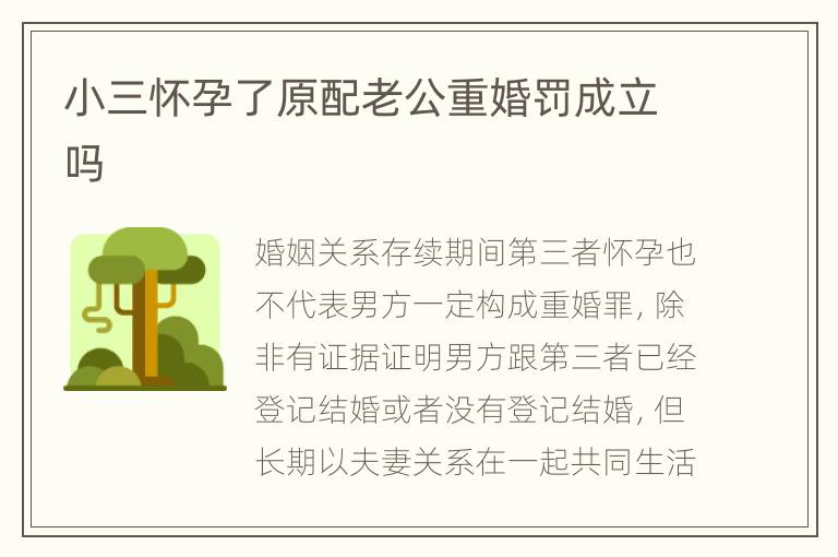 小三怀孕了原配老公重婚罚成立吗