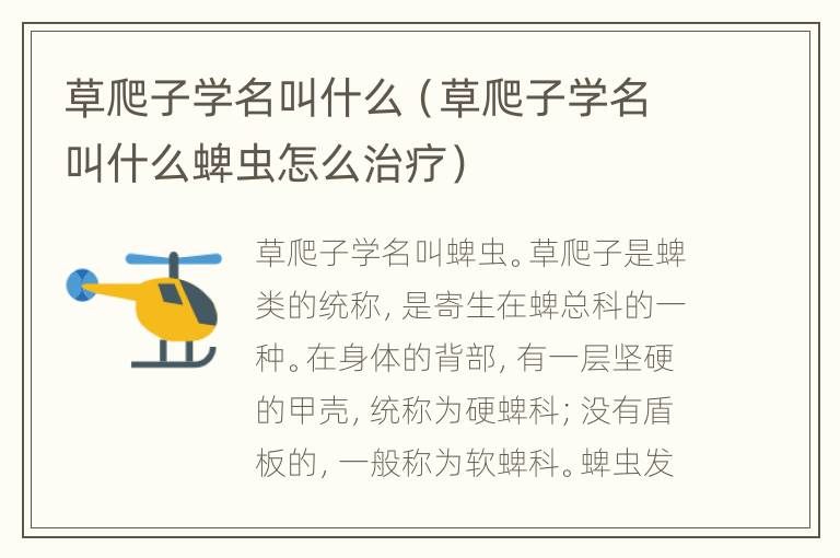 草爬子学名叫什么（草爬子学名叫什么蜱虫怎么治疗）